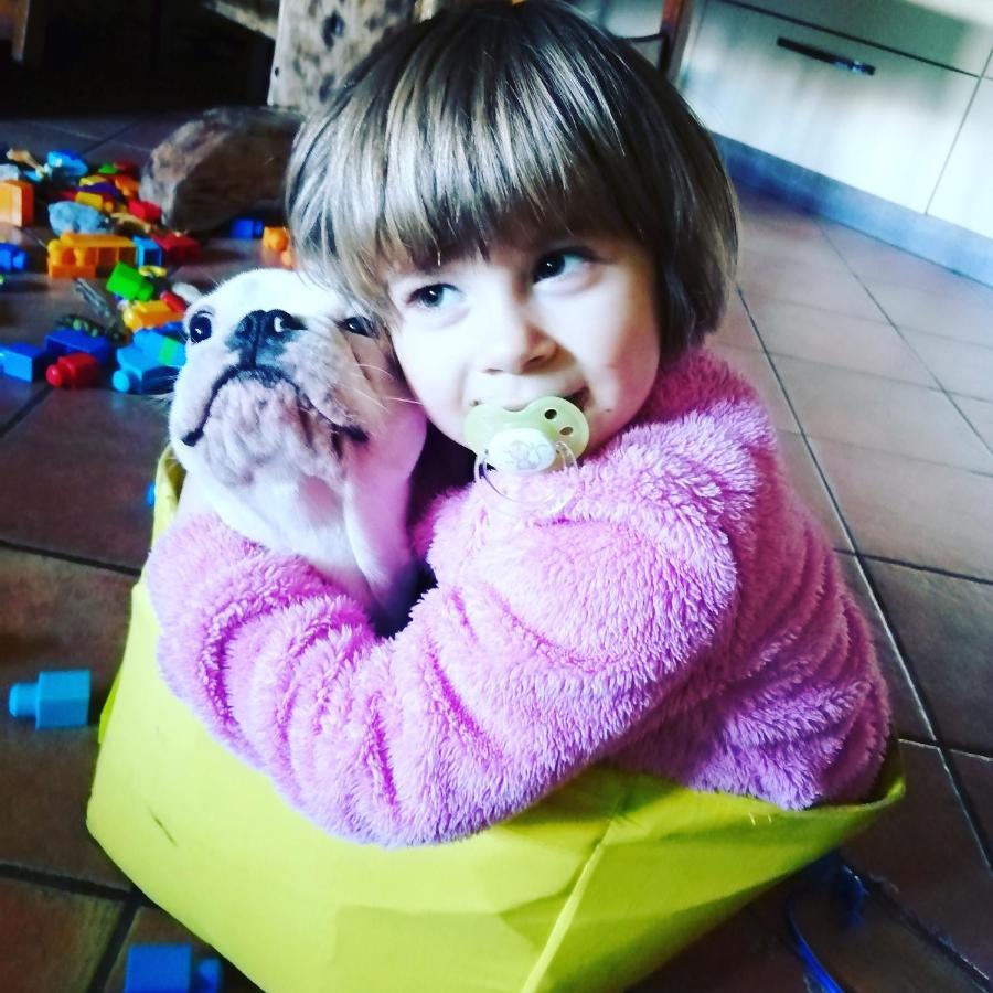 B&B Villa Anita Bellano Kültér fotó